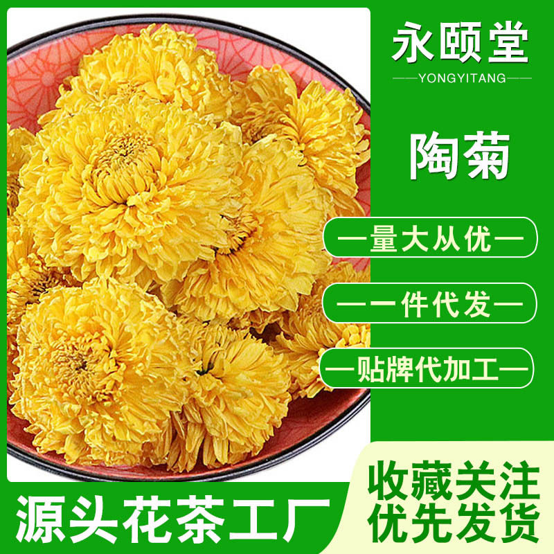 陶菊黄山新货桃菊乒乓球散装菊花
