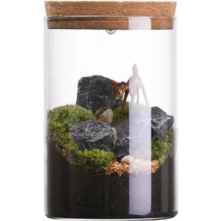 生态瓶青苔苔藓微景观绿植物盆栽鲜活 创意diy小盆景桌面摆件 包邮