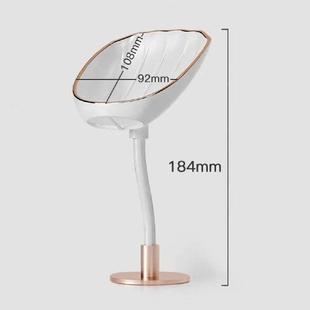 Drainage Tray Design Store Colors Useful Soap