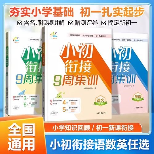2025版小初衔接9周集训小升初总复习资料小学语文数学英语知识大盘点期末冲刺100分预测押题卷毕业升学考试真题必刷卷领跑新初一