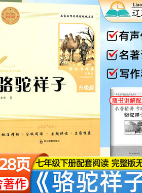 骆驼祥子老舍原著七年级上下册必读官方正版完整版无删减钢铁是怎样炼成的带名师导读有声伴读文章内容批注释注解析初中生写作积累