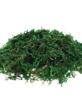 Decorative Moss Green for Plants Preserved Potted Fake