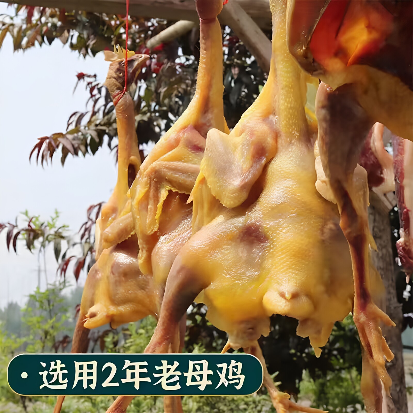湖北荆门特产风干鸡正宗十里铺土鸡手工腌制咸鸡腊鸡鸭农家腊肉