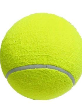Interactive Tennis Ball Pet Entertained For Hours With