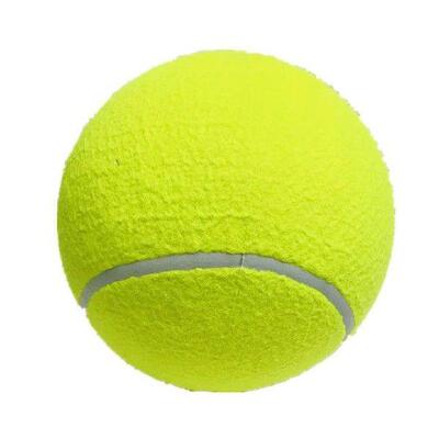 Interactive Tennis Ball Pet Entertained For Hours With