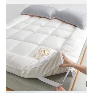 Student Dormitory Mattress Topper Pad Single Double Bed Twin