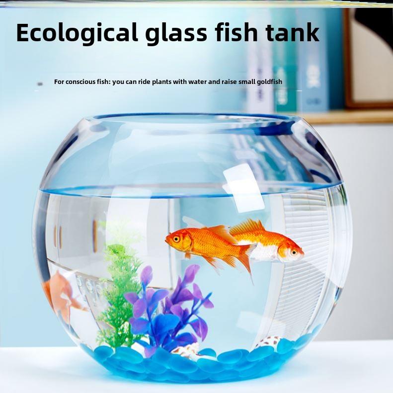 Super white aquarium glass fish box fish tank