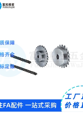 链轮SP40B13/14-N-12 14 15 16 17 18 19 20 22 24 25 2830