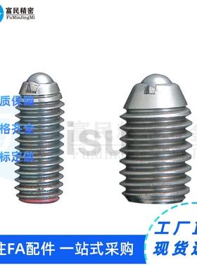 加长型内六角304不锈钢BSJL3/4/5/6/8/10/12/16 球头柱塞替