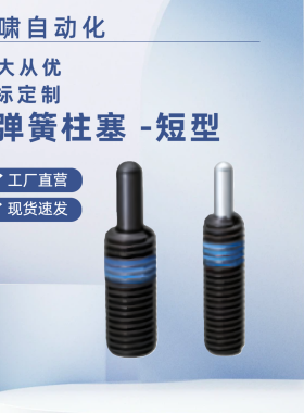 短型弹簧柱塞PJLS10/PJFW12 16-5/10/15/20轻载型定位弹簧分度销