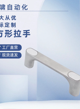 外装带盖型拉手XAB76-L100/L120/L150 锌合金方形拉手带盖把手