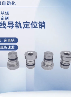 LLT LLTS 3.5 5 ICE11 ICE12-T3.5 T5 偏心销 直线导轨定位销