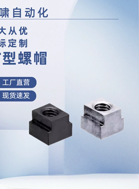 T型螺帽螺母 NTSF型材固定NTS3/NTS4/NTS5/NTS6/NTS8/NTS10/NTS12
