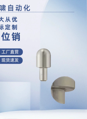 大头球面型 压入型AFPQA AFPQPA AFPQD AFPQ定位销 高硬度不锈钢