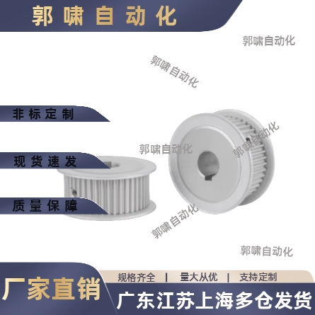 HTPA48S3M100-A-P8P10P12.7P14P15P16P17P19P20P22P24P25 同步轮