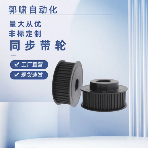 HTPA48S8M250-B-P12P14P15P16P18P19P20P22P24P25P28303235同步轮