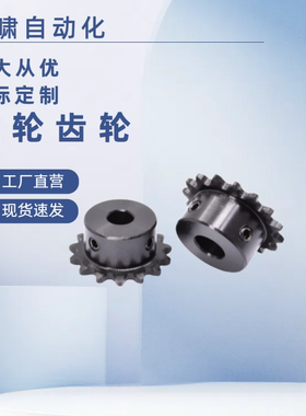 链轮SP15B11-P-5 SP15B12-P-5/6 SP15B13-P-5/6/8 SP15B14/15-P-8