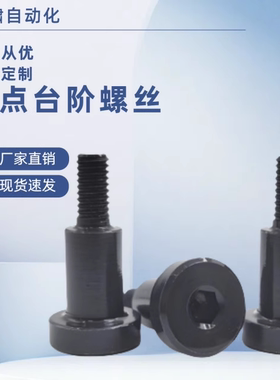 CBDBR FCBDBR8 10 12-5 6 7 8 9 10 12 15 20内六角 支点台阶螺丝