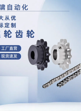 40B 链轮SP40B36-N-20 SP40B38-N-20 22 24 25 28 30 32 35 40