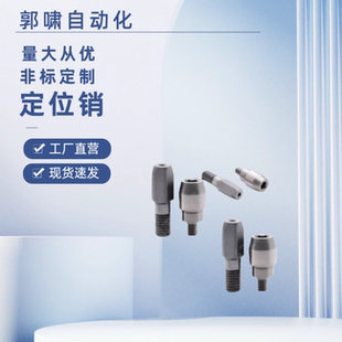 YCC01 21 02 22 03 23 06 26 07 27d大头锥角外螺纹内六角定位销