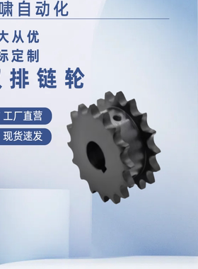 双排链轮SP50SD18-N-25 28 30 35 40 /SP50SD19-N-25 28 30 35 40