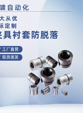 JBAFPG  JBAFG-D8 10 12 15 18 20 22 25夹具衬套防脱落 直柱型