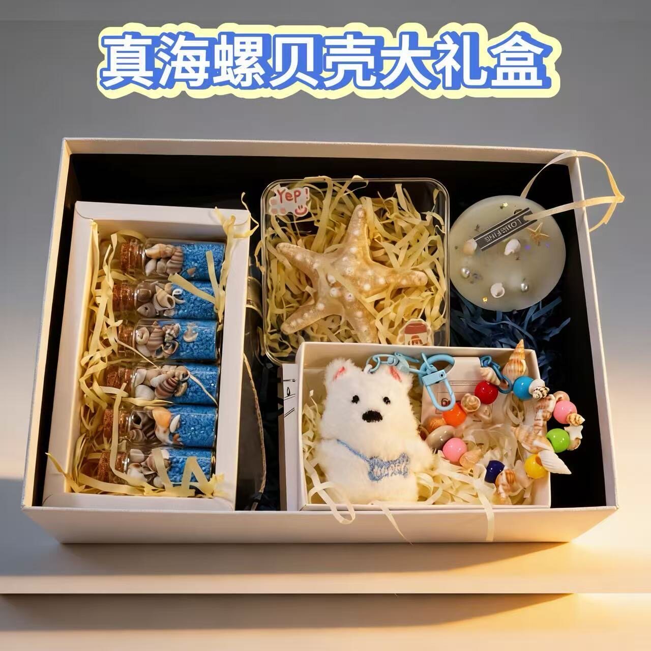 真海螺贝壳女生生日礼盒