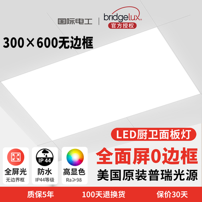 国际电工厨房灯300x600led吸顶灯集成吊顶灯平板灯卫生间灯铝扣板
