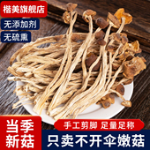 茶树菇干货甄选不开伞切根新货菌菇云南农家自产特产官方旗舰店