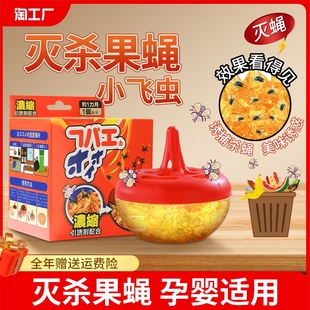 杀蝇饵剂杀虫剂灭苍蝇药捕捉器贴纸小飞虫克星灭杀神器果蝇诱捕器