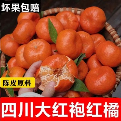 四川红橘万州古红桔重庆桔子