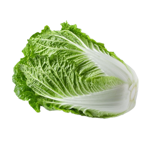 秋季播山东耐寒冬储大白菜种孑无筋本地包心黄心大白菜种籽大全