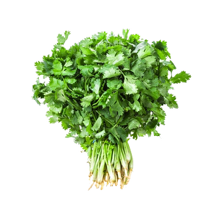 香菜籽种子四季大叶香菜种子本地三天速生香菜盆栽庭院冬季蔬菜种