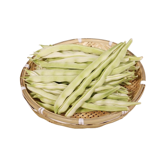 九粒白芸豆种子苗摘不败白不老四季豆种籽豆角架豆大全四季蔬菜孑