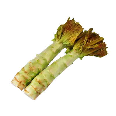 红莴笋种子耐寒红皮青笋耐寒莴苣种籽孑春秋季菜种蔬菜红叶窝笋种