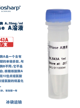 BIOSHARP LIFE SCIENCES 白鲨 BL543A RNase A溶液(核糖核酸酶 A,10mg/ml)含有四个二硫键的单链多肽 1ml/支