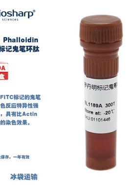 BIOSHARP LIFE SCIENCES 白鲨 BL1189A TRITC Phalloidin 罗丹明标记鬼笔环肽 300T/盒