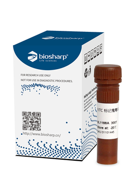 Biosharp/白鲨 BL1188A Phalloidin FITC标记鬼笔环肽 BL1189A
