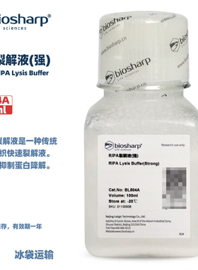 BIOSHARP LIFE SCIENCES 白鲨 BL504A RIPA裂解液(强)细胞组织快速裂解液得到蛋白样品 100ml/瓶 6瓶/盒