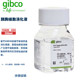 15400 100ml 054 0.5%胰酶 Gibco 不含酚红 胰酶细胞消化液 含EDTA 瓶