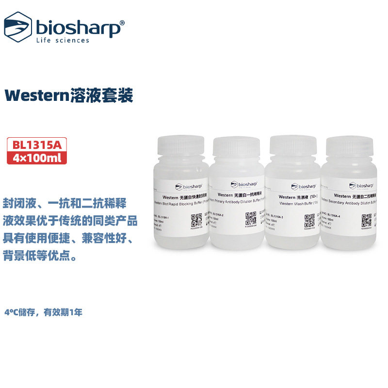 BIOSHARP LIFE SCIENCES 白鲨 BL1315A Western溶液套装（封闭液、洗涤液、一抗和二抗稀释液）4×100ml