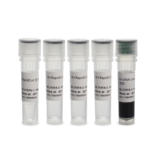 Biosharp白鲨 BL1747A RapidCut Ⅱ XhoI 快速限制性内切酶 用于质粒 DNA、PCR产物或基因组DNA等的快速酶切