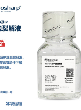 BIOSHARP LIFE SCIENCES 白鲨 BL509A Western及IP细胞裂解液 100ml/瓶