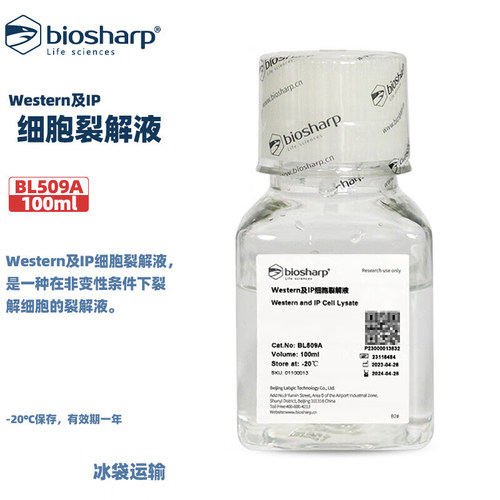biosharp白鲨 BL509A Western及IP细胞裂解液 100ml/瓶