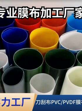 江苏户外膜结构车棚汽车棚雨篷布膜布加工PVC膜材张拉膜推拉蓬布
