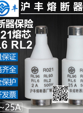熔断器RL6-25 R021 500V 2A 4A 6A 10A 16A 20A 25A陶瓷保险熔芯