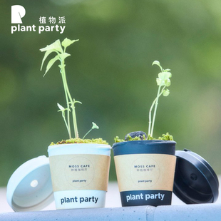 植物派 创意微观绿植 室内办公桌绿植种植装饰摆件咖啡厅