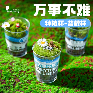 植物派 创意种植杯—苔藓杯创意微观绿植diy易养活送礼物桌面绿植