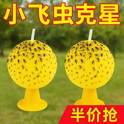 室内粘飞虫球水果店超市