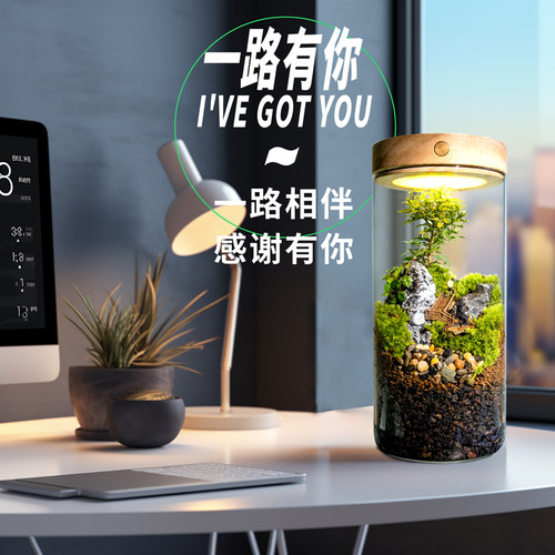 丘辰微景观定制伴手礼送老师同学